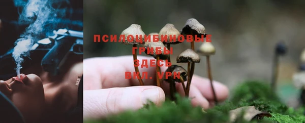 apvp Верея