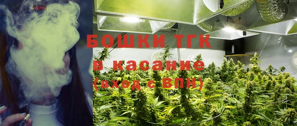 ешки Верхний Тагил