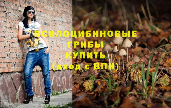 герыч Сосновоборск