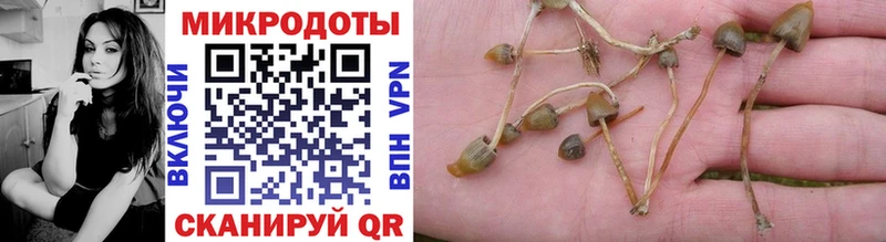 Купить  Горячеводский  Галлюциногенные грибы GOLDEN TEACHER 